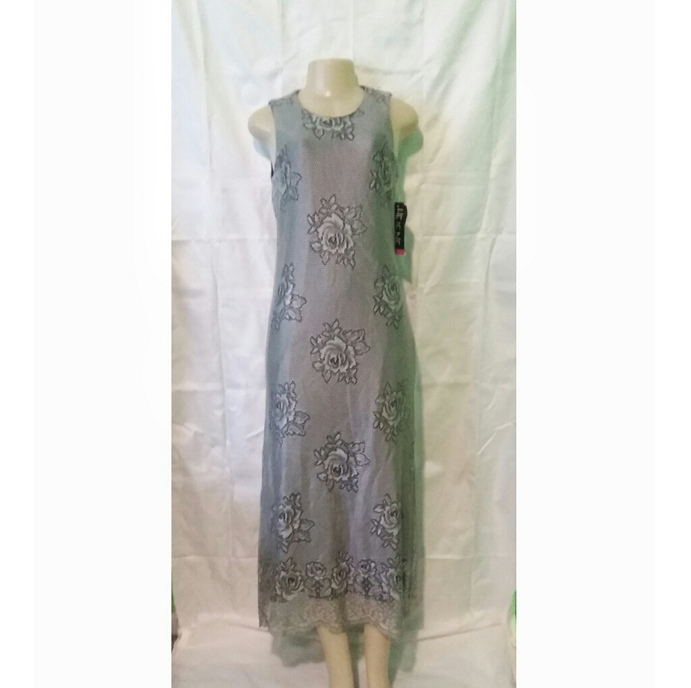 NWT Helene Blake Silv Lace Overlay Dress — Size 10